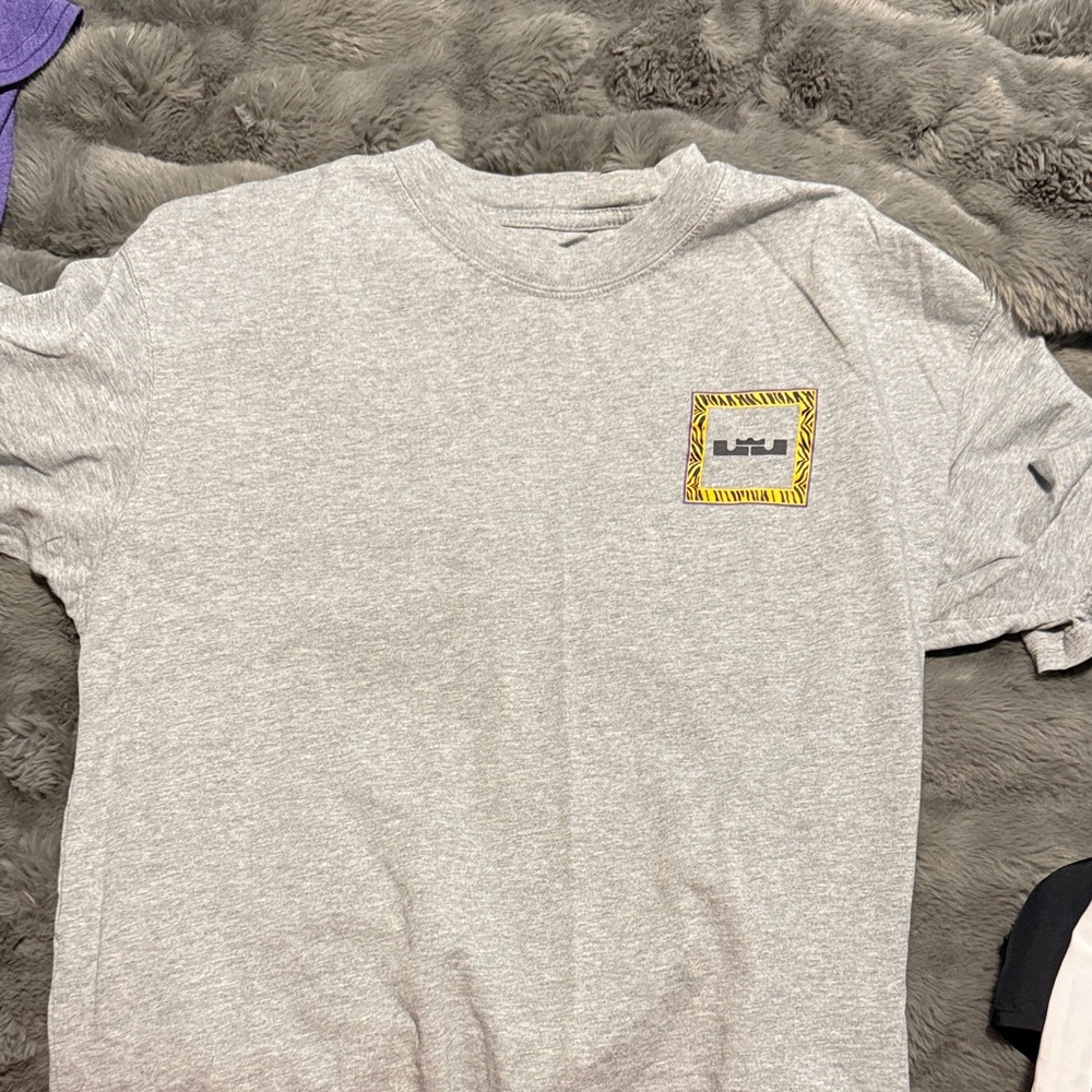 Gray Nike LeBron James T-Shirt
